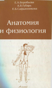 anatomiya-fizioloqiya