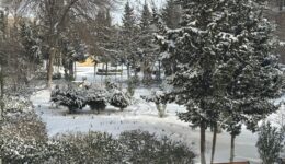 IMG-20250224-WA0010